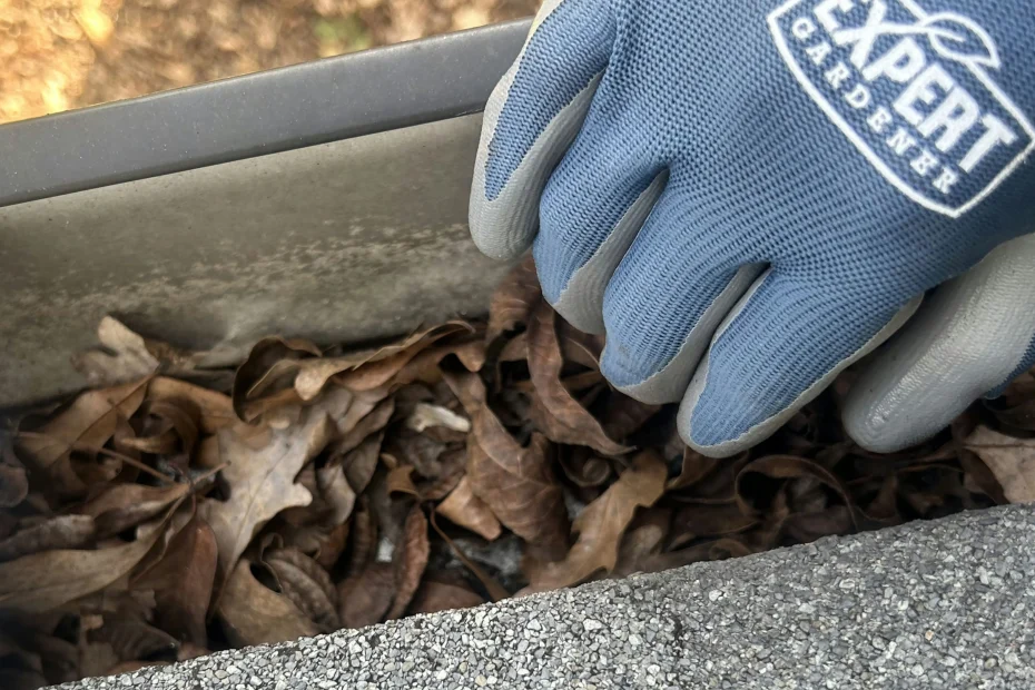 Gutter Cleaning New Castle DE