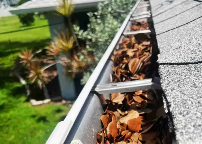 Gutter Cleaning New Castle DE home page